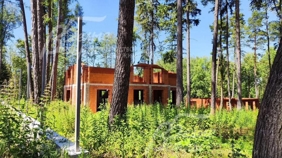 Участок 8.54 сотки с лесными деревьями