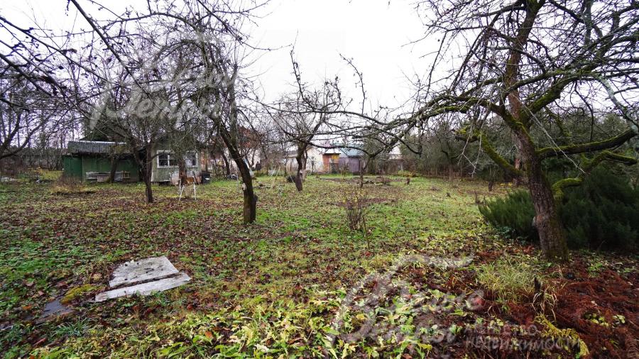 Участок ровный