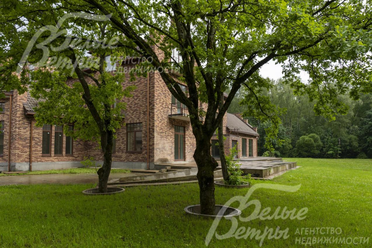 На участке высажены взрослые лесные деревья