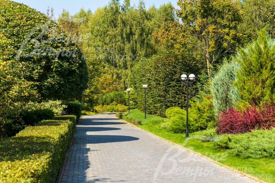 Профессиональные ландшафтные работы выполнены на территории всего поселка 