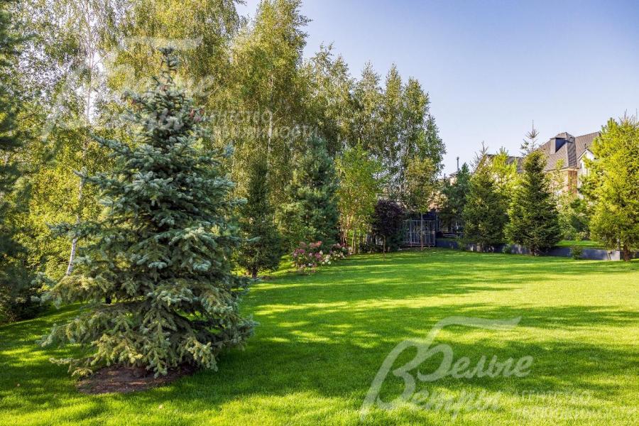 На участке ландшафтный дизайн, множество взрослых деревьев.