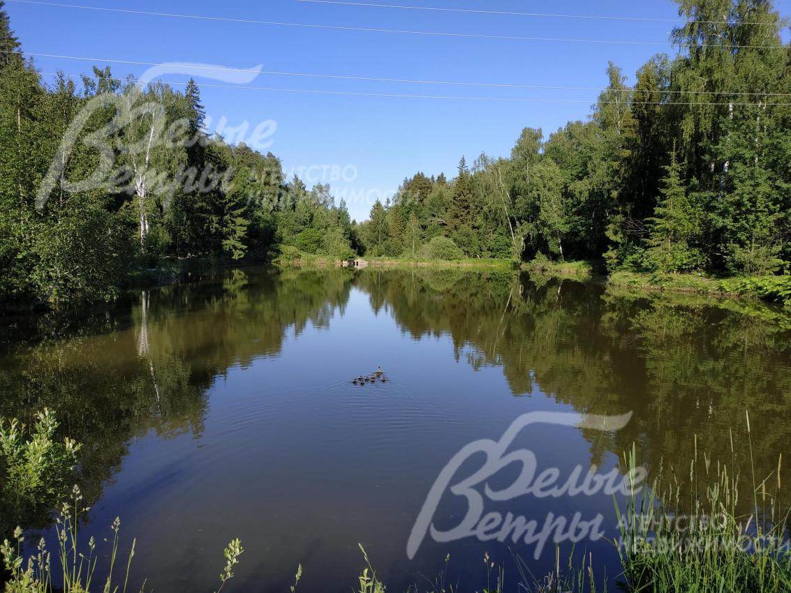 Озеро в лесу в 100м от поселка