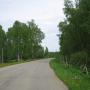 Дорога к поселку