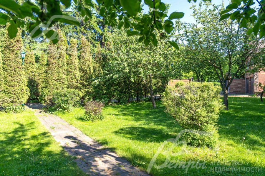 На участке 5 яблонь, 3 груши, сливы и другие плодовые деревья.