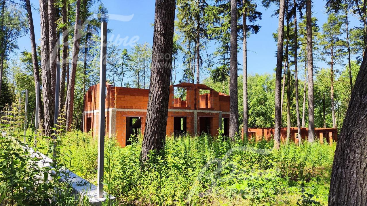 Участок 8.54 сотки с лесными деревьями