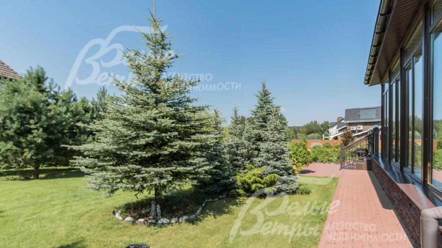 На участке высажено множество деревьев-крупномеров