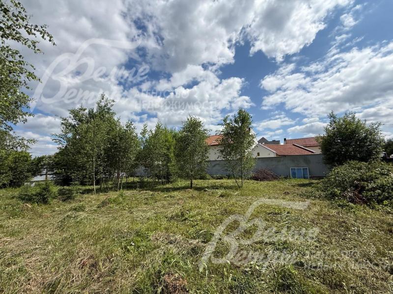 Участок примыкает к лесу, на территории частично сохранены лесные деревья