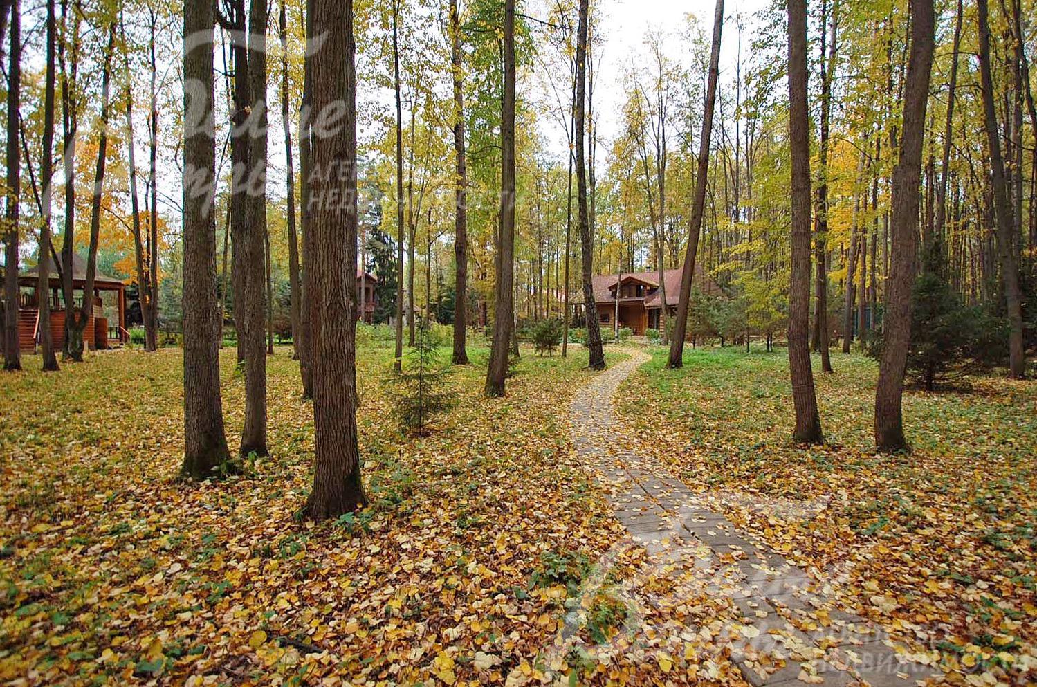 коттеджный поселок лесное озеро на калужском шоссе. калужское шоссе лес. 87. кп изумрудная долина калужское шоссе. лесные озера коттеджный поселок.