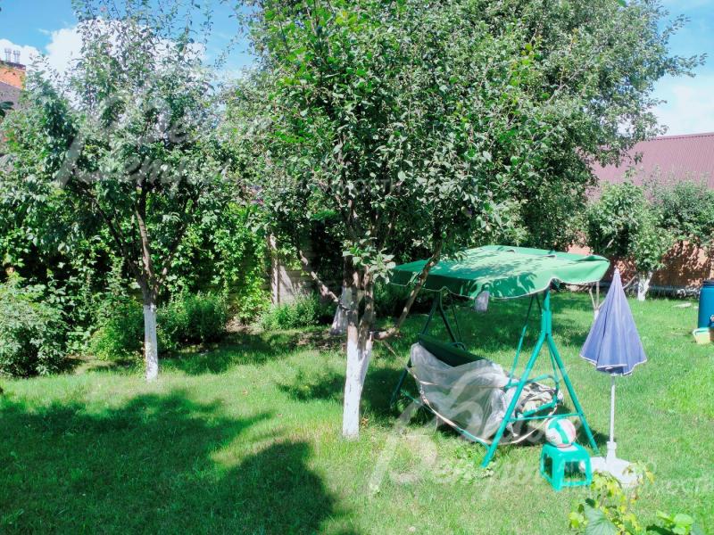 Плодовые деревья на участке