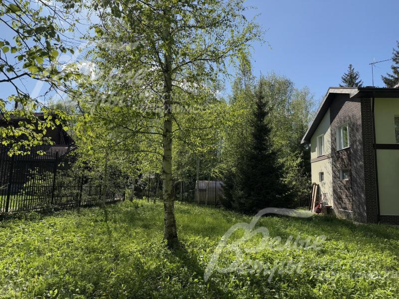 Дом стоит на просторном зелёном участке 12 соток с лесными деревьями 