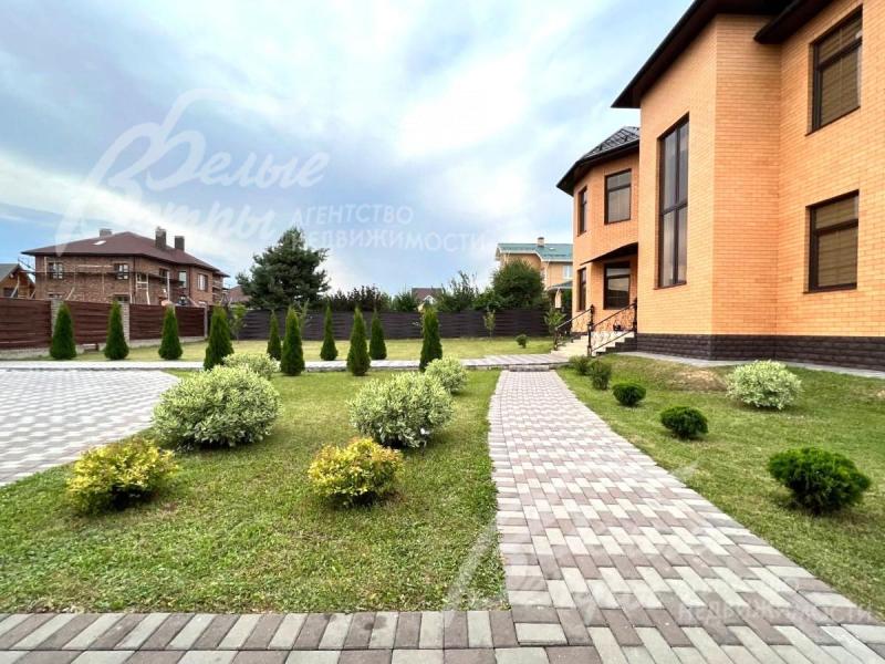 На участке высажены молодые туи и декоративные кустарники.