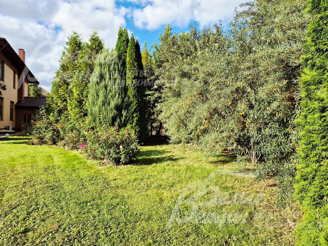 Плодовые деревья на участке.