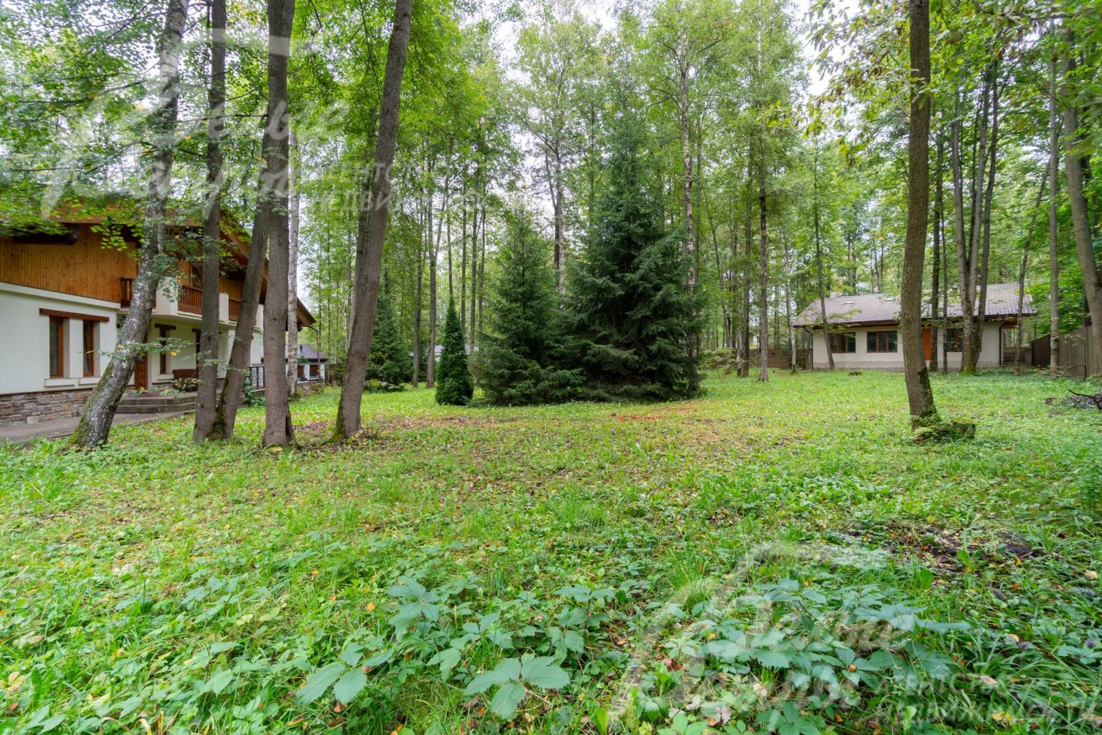 На участке растут ели, берёзы, липы, осины