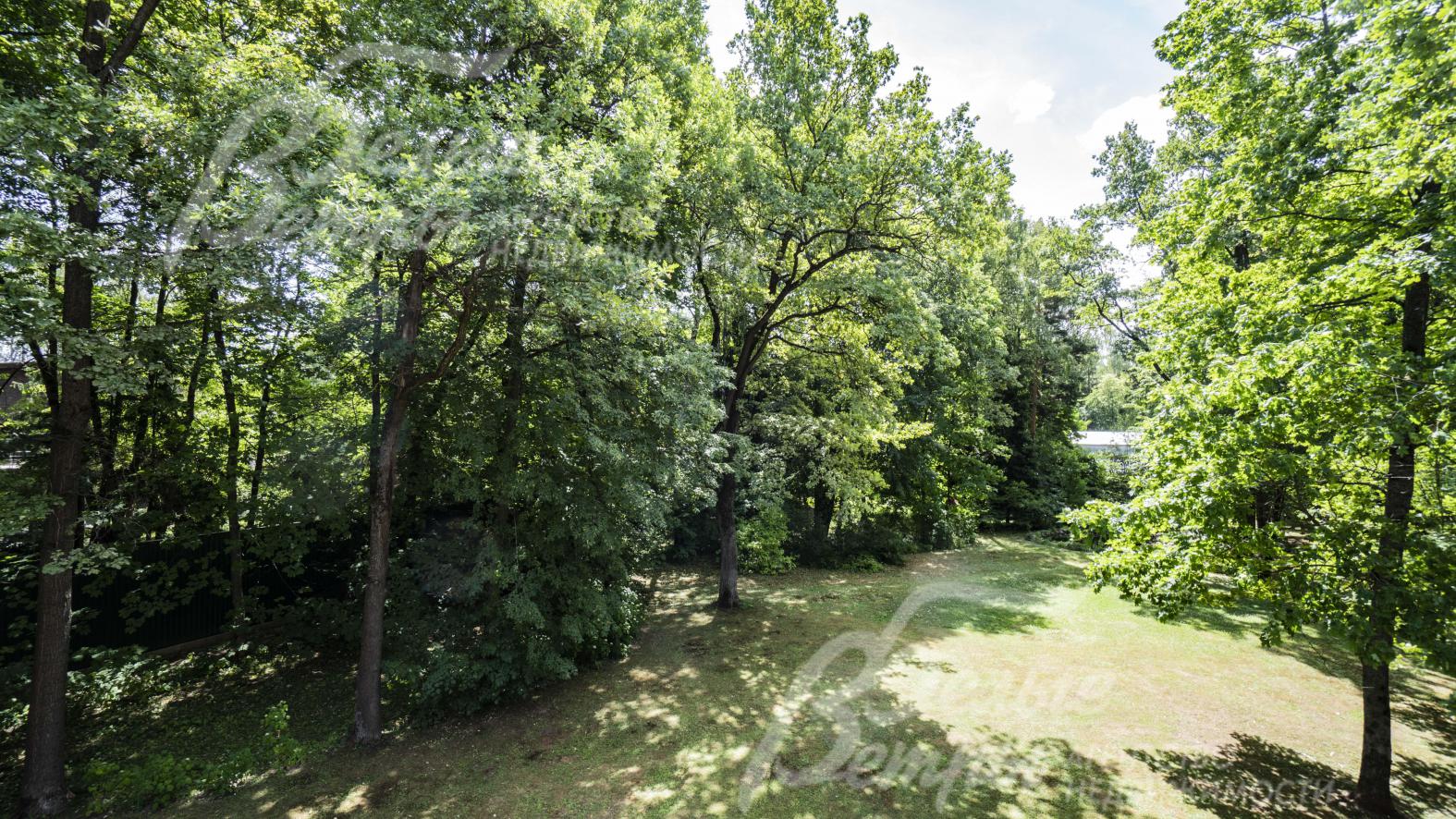 Клены, ели и липы