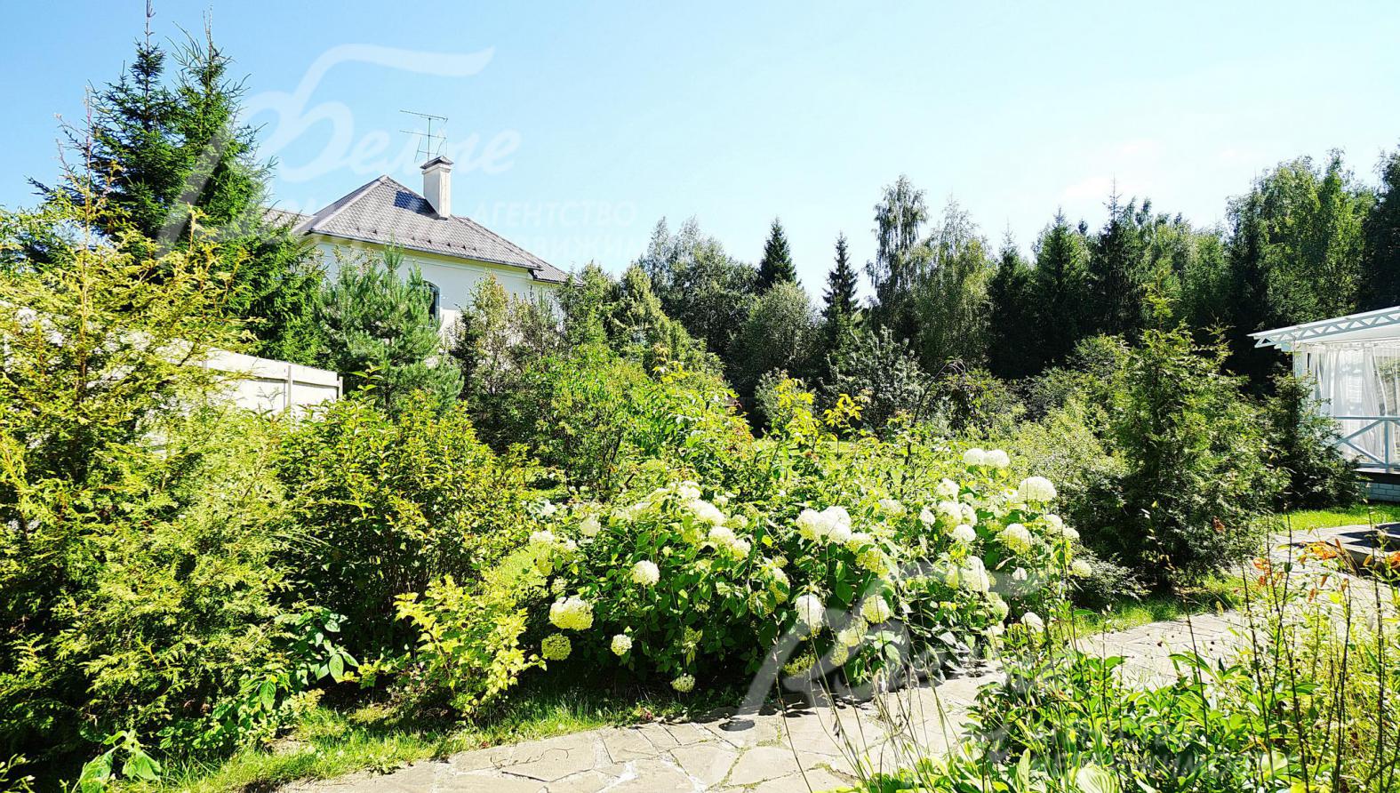 Растут клены, рябина, 5 молодых сосен, 7 елей, березы, кусты сирени, 