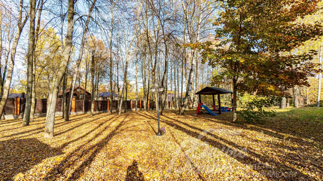 Лесной участок