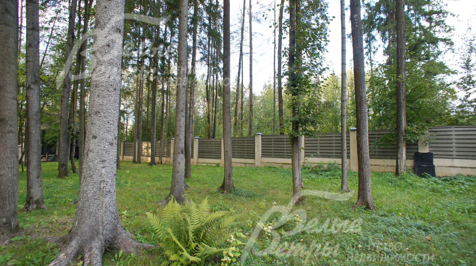 Роскошный лесной участок 30 соток