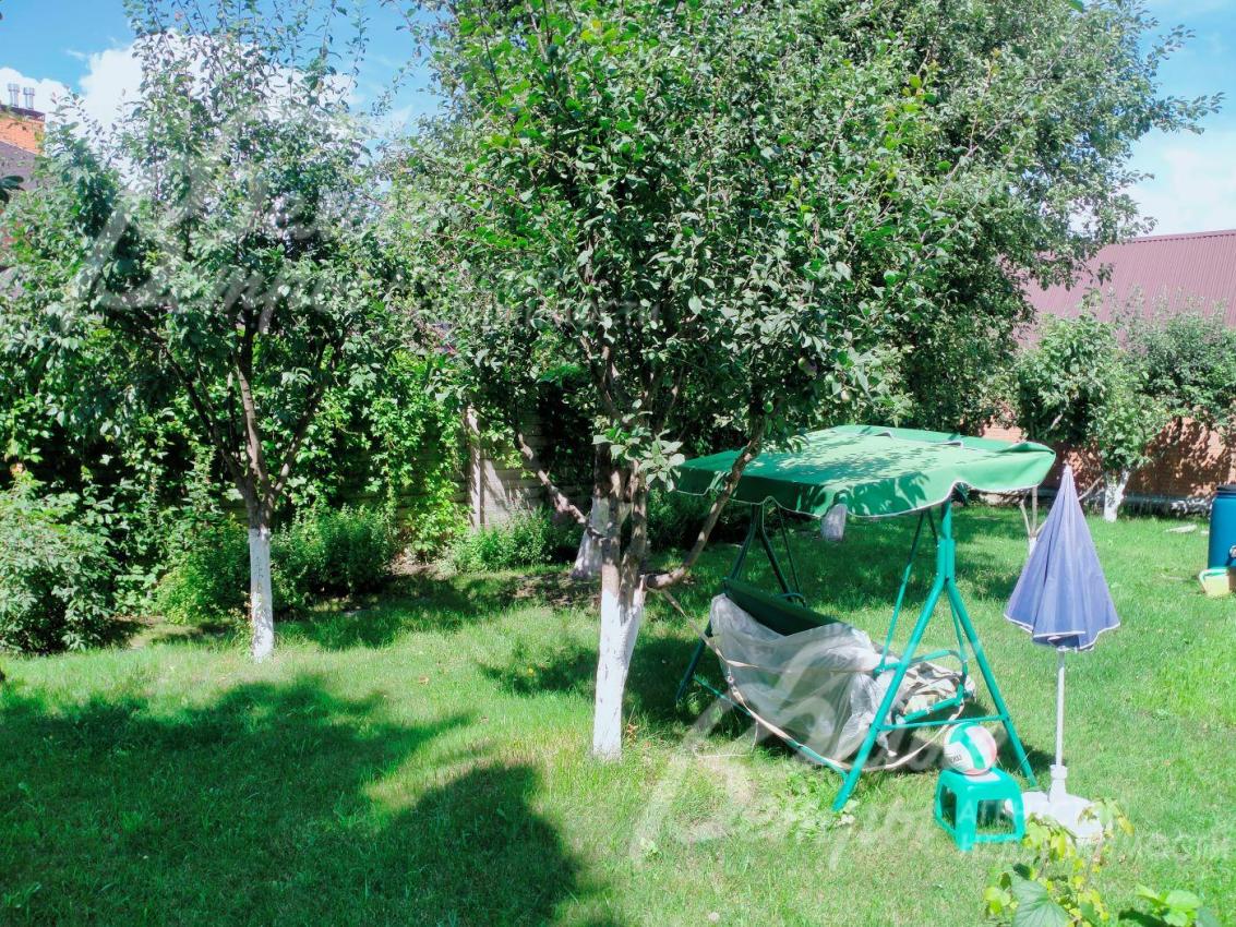 Плодовые деревья на участке