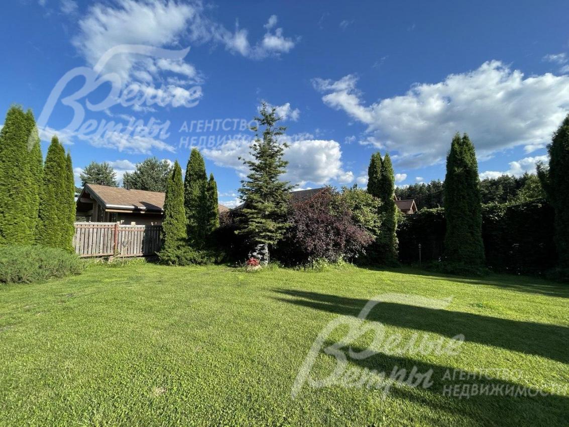 На участке взрослые туи и можжевельники.