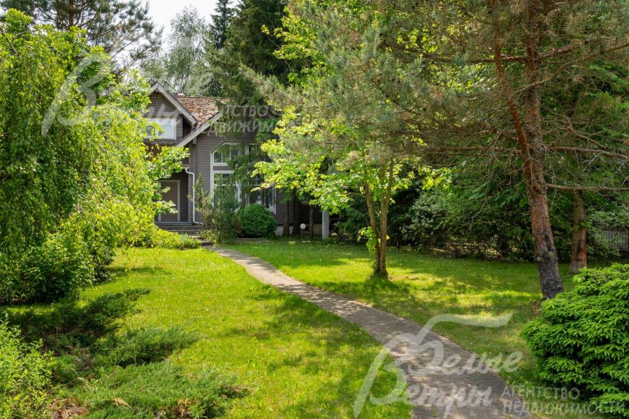 На участке множество взрослых деревьев и кустарников. 