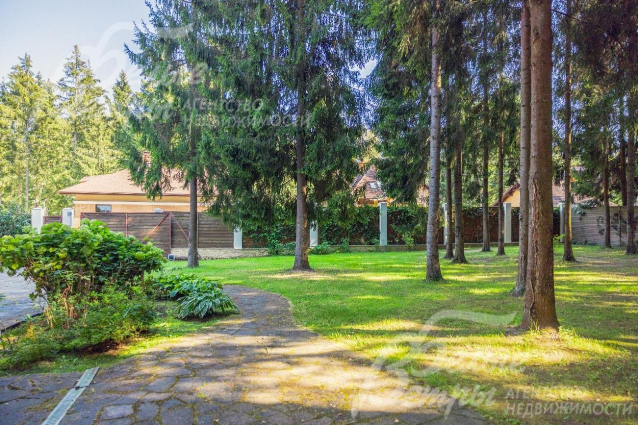 Лесной участок 27 соток со взрослыми деревьями и ландшафтом