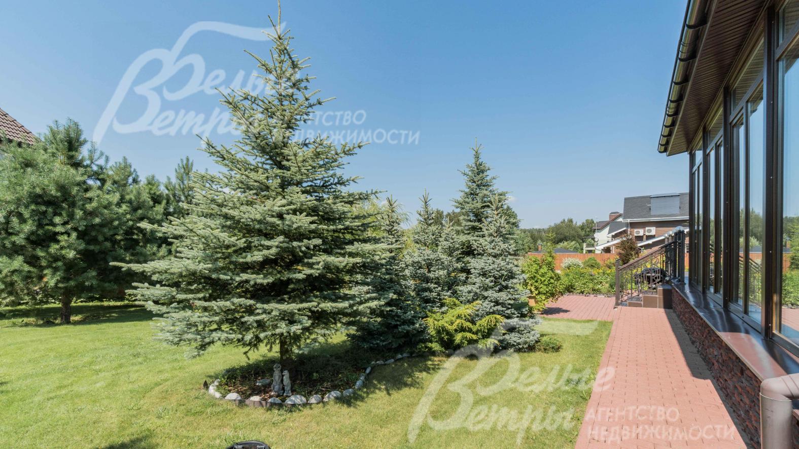 На участке высажено множество деревьев-крупномеров