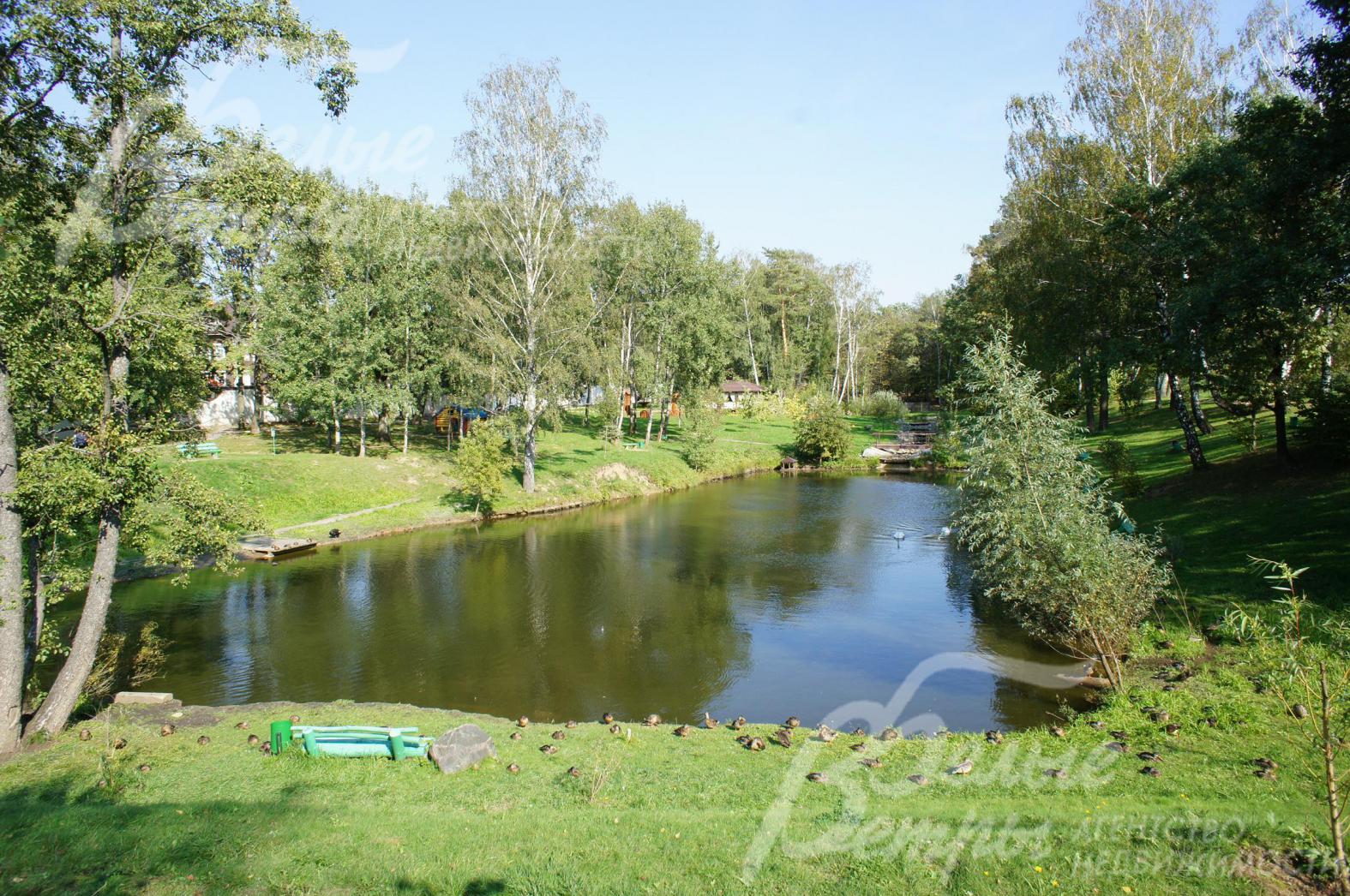 Пруд на территории поселка.