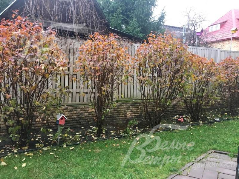 На участке деревья и кустарники