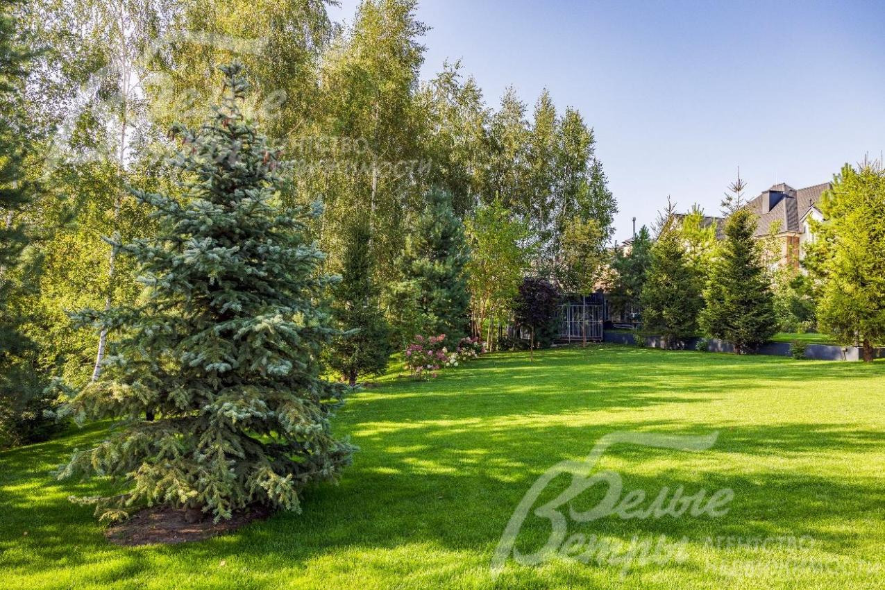 На участке ландшафтный дизайн, множество взрослых деревьев.