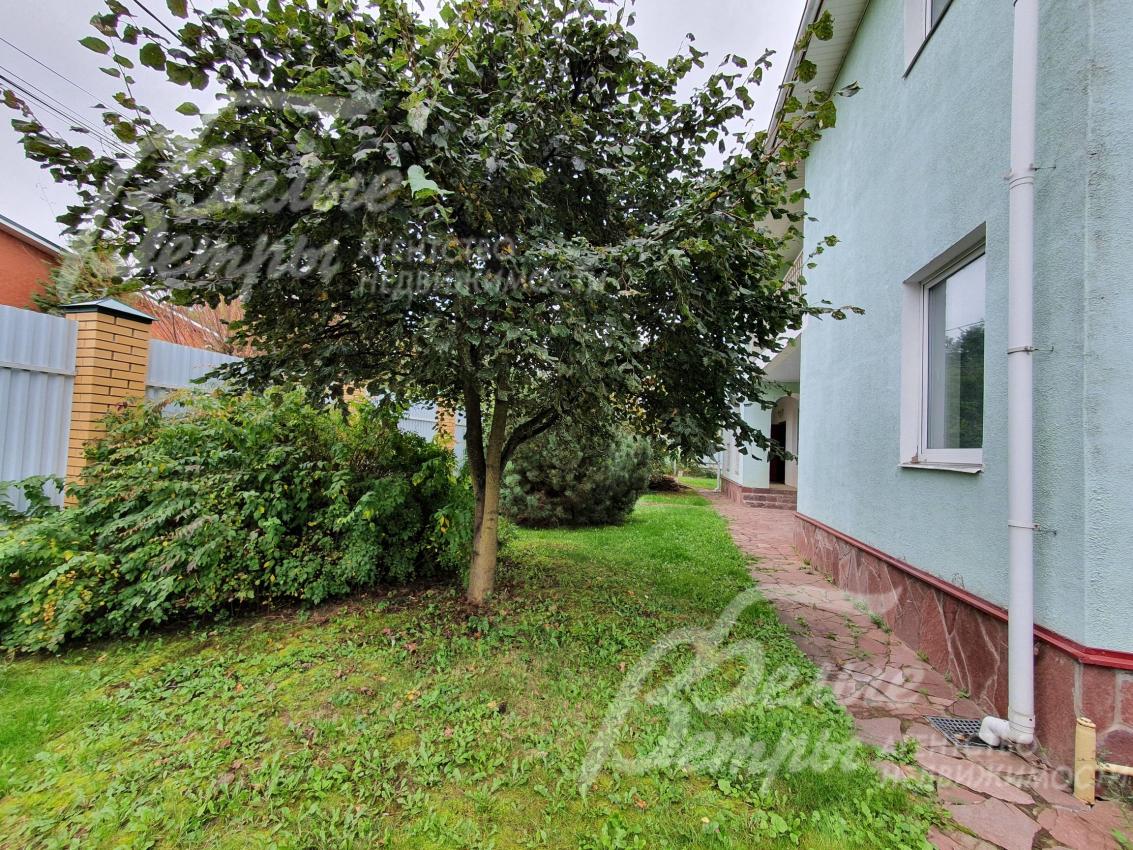 Плодовые деревья на участке