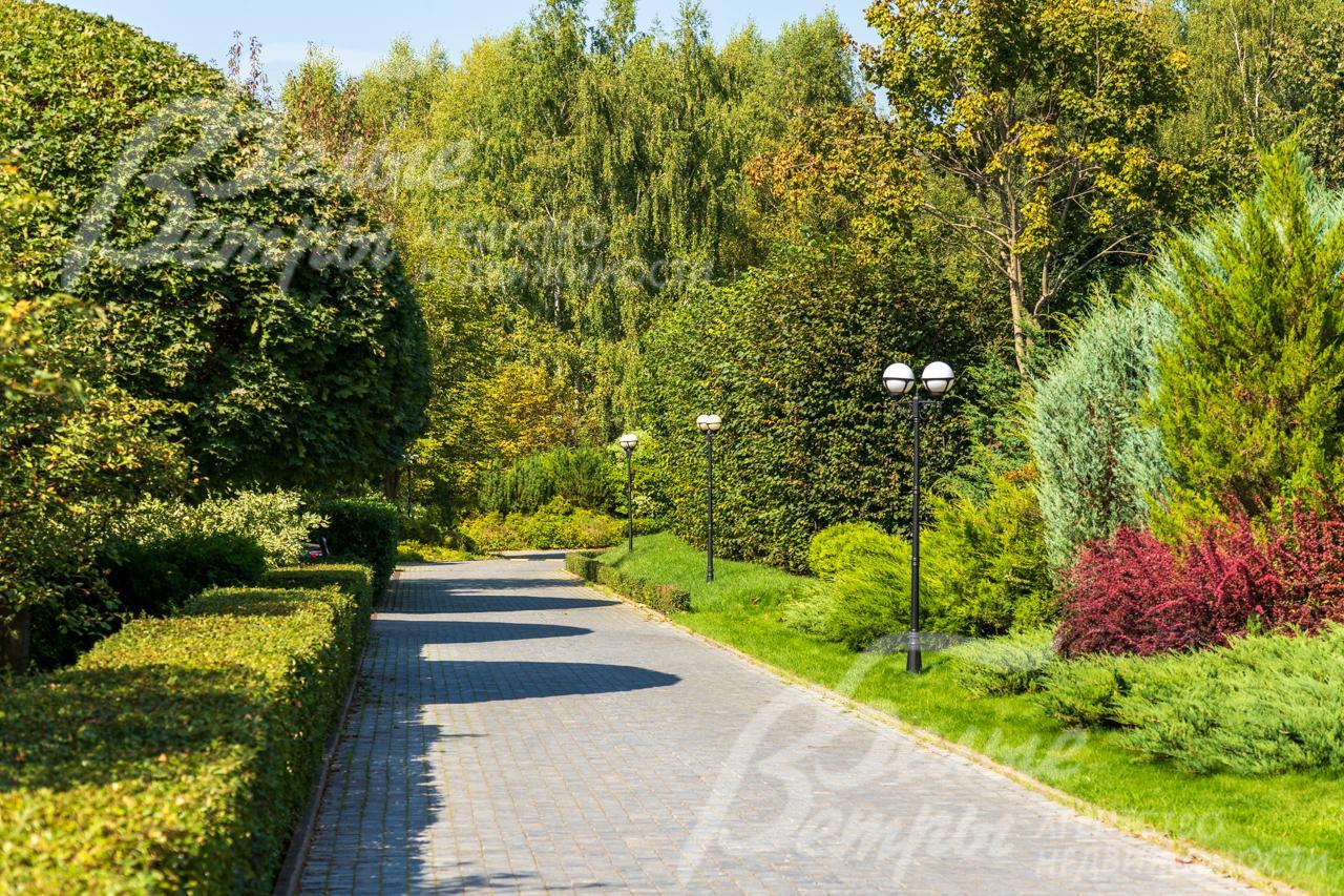 Профессиональные ландшафтные работы выполнены на территории всего поселка 