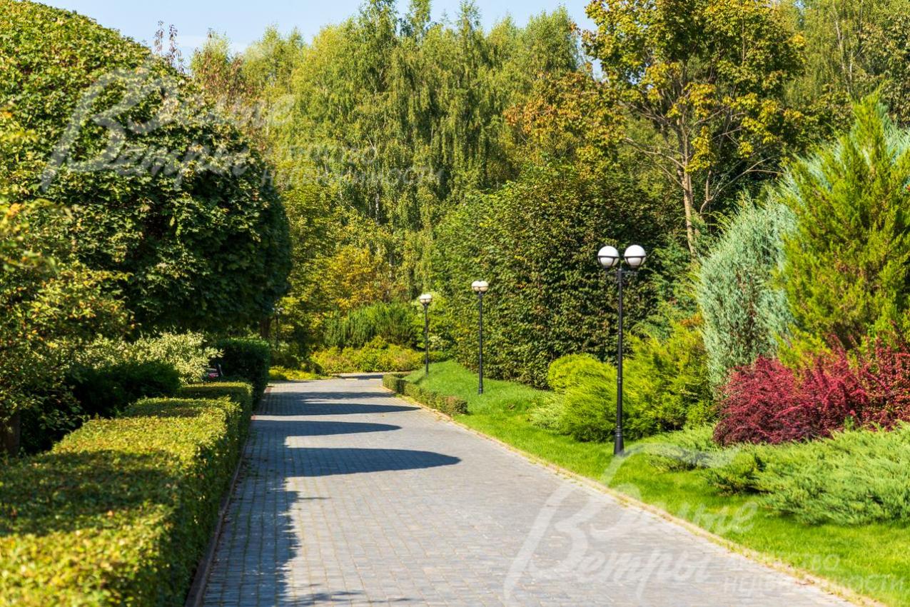 Профессиональные ландшафтные работы выполнены на территории всего поселка 