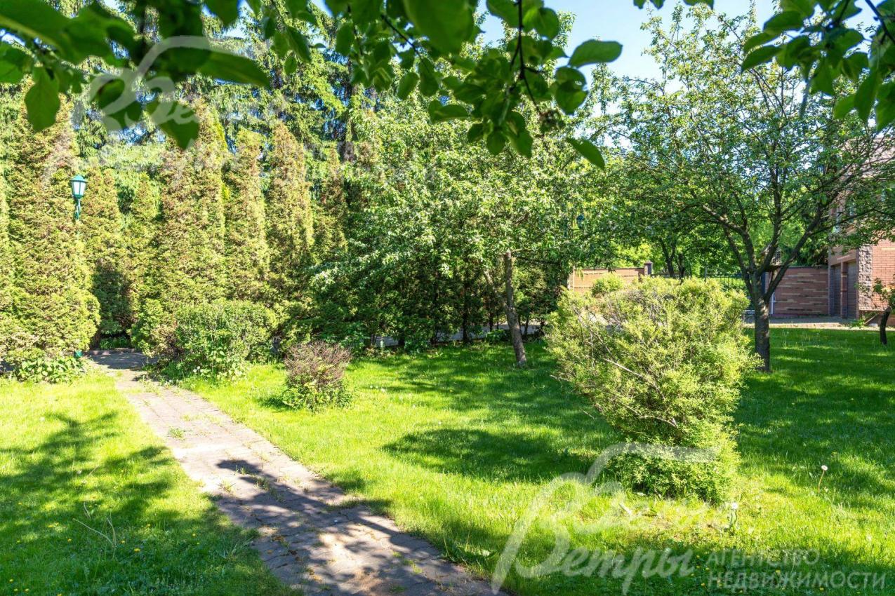 На участке 5 яблонь, 3 груши, сливы и другие плодовые деревья.