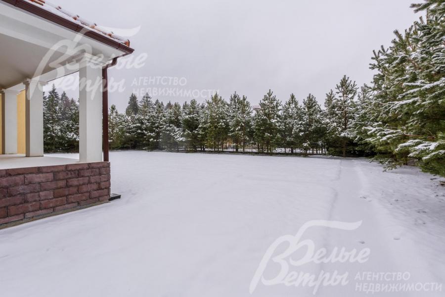 Высажены сосны по периметру около 90 шт.