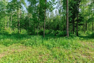 Участок, Романцево, 400 сот