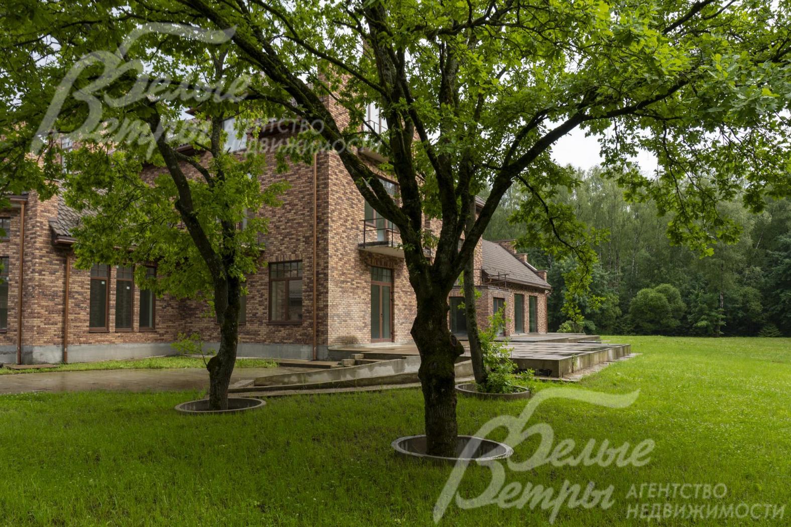 На участке высажены взрослые лесные деревья