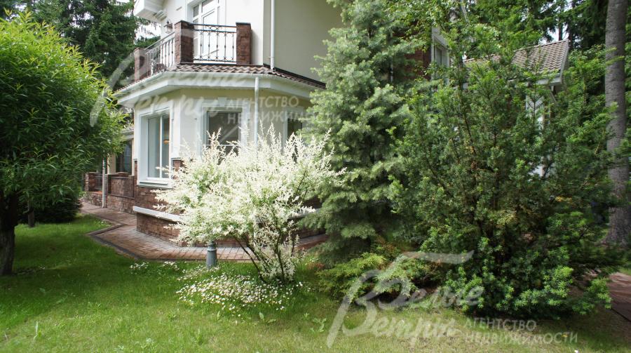 Участок 20 соток с лесными деревьями