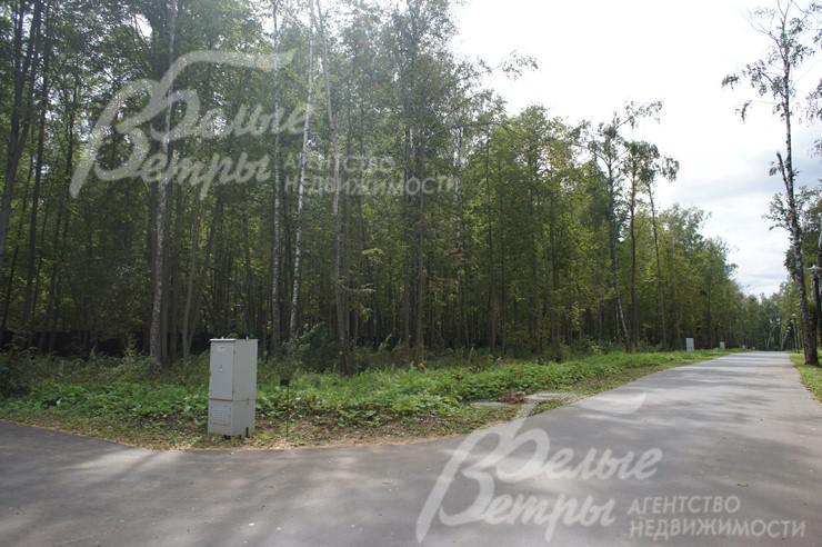 Участок с природным уклоном и лиственным лесом по границе