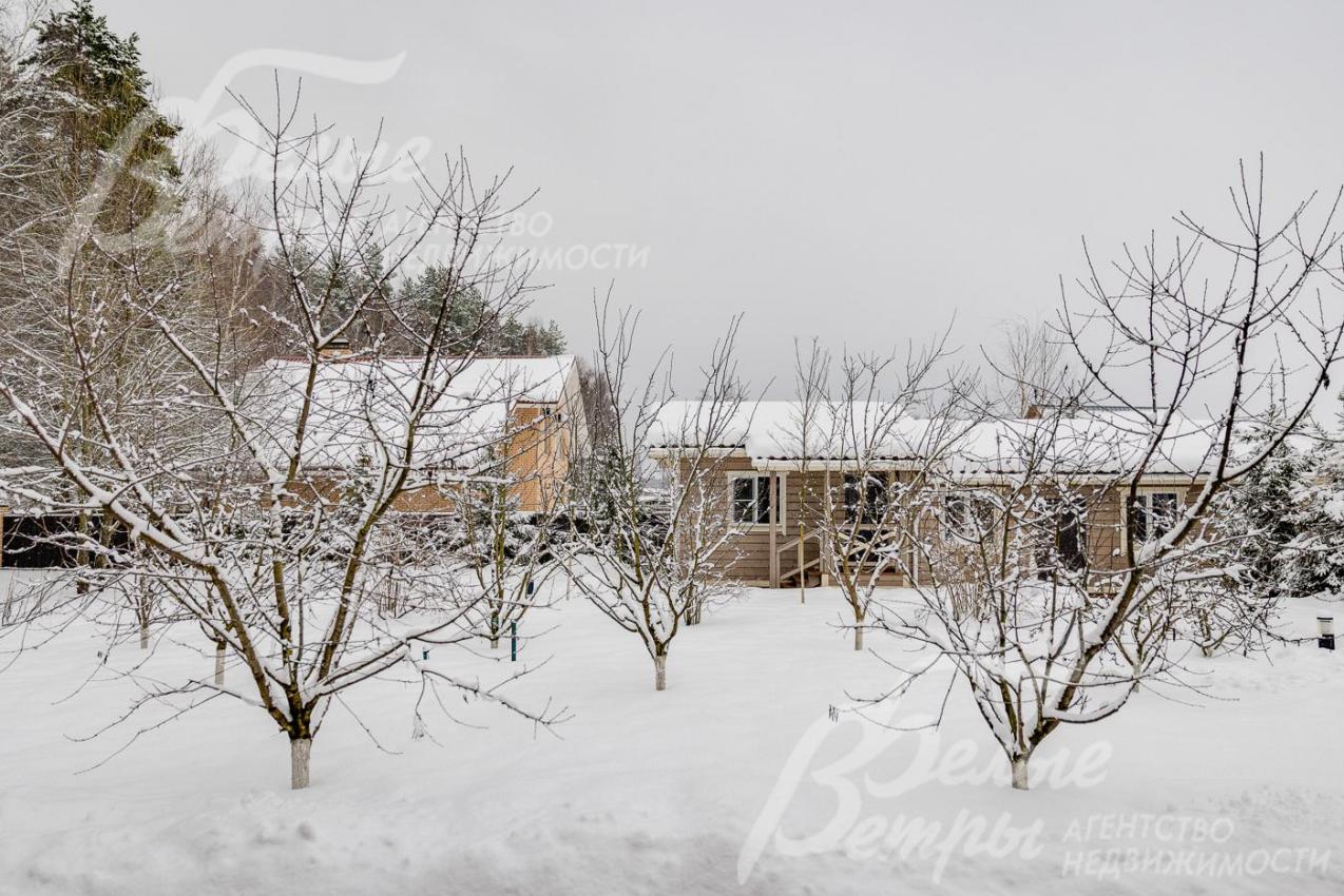 Высажен плодовый сад – яблони, вишня, груша, слива