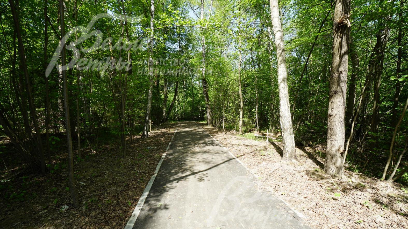 Организованы прогулочные дорожки в лесопарковой зоне