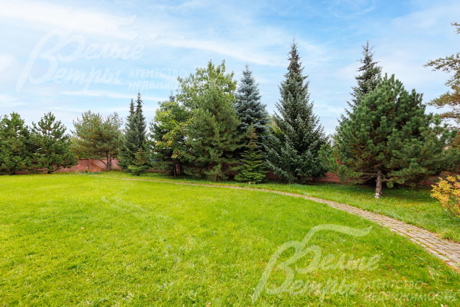 Участок 24 сотки с ландшафтом, взрослыми хвойными и лиственными деревьями