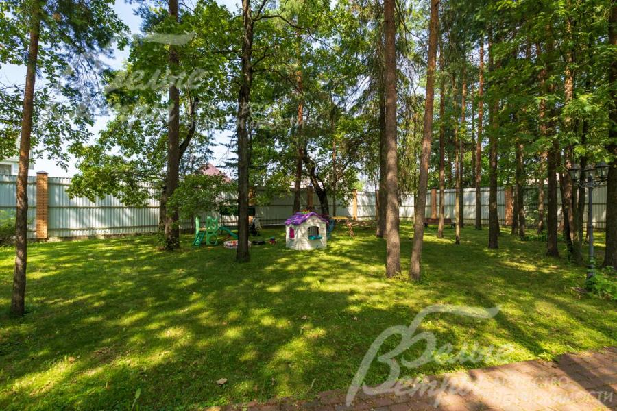 На участке 30 соток взрослые лесные деревья