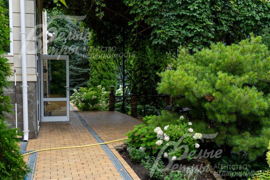 У входа в дом много зелени, вход - под зелёным сводом