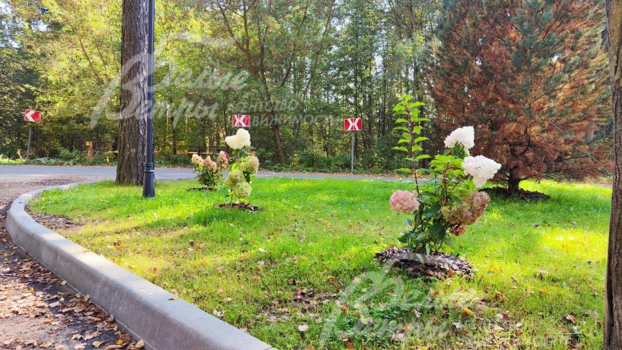 Благоустройство улиц в поселке Бородино вилладж.