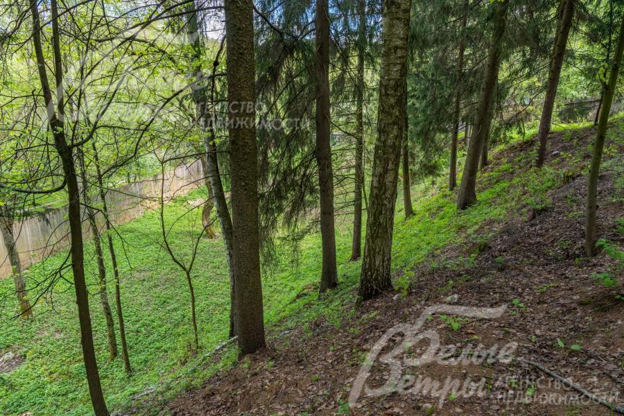 На лесной части участке - живописный склон со спуском к реке Незнайка с сохраненными вековыми деревьями