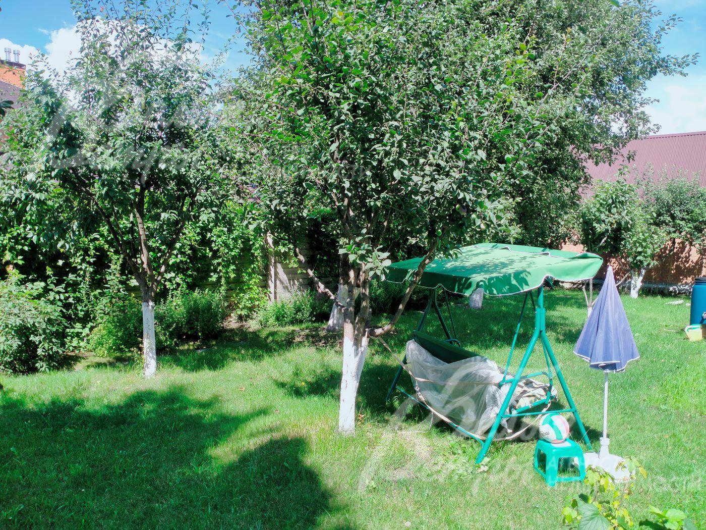 Плодовые деревья на участке