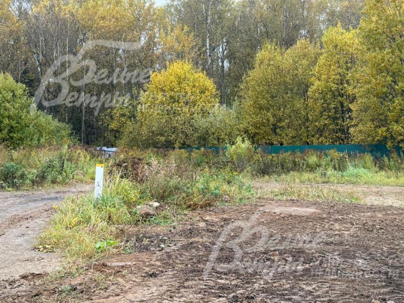 Открытый участок с трёх сторон огорожен забором