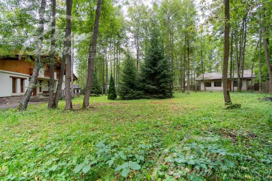 На участке растут ели, берёзы, липы, осины