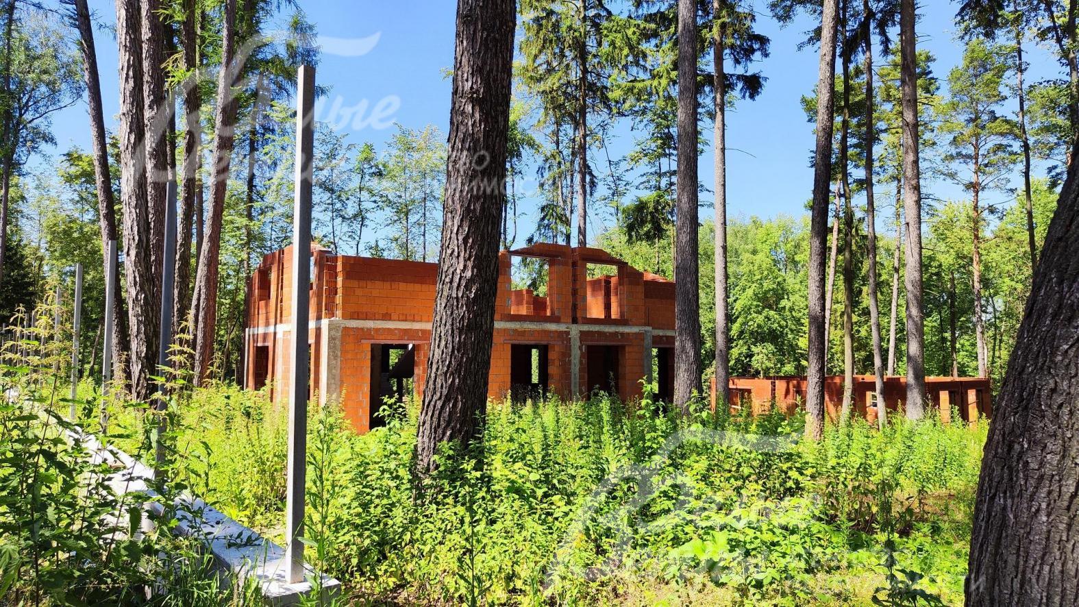 Участок 8.54 сотки с лесными деревьями