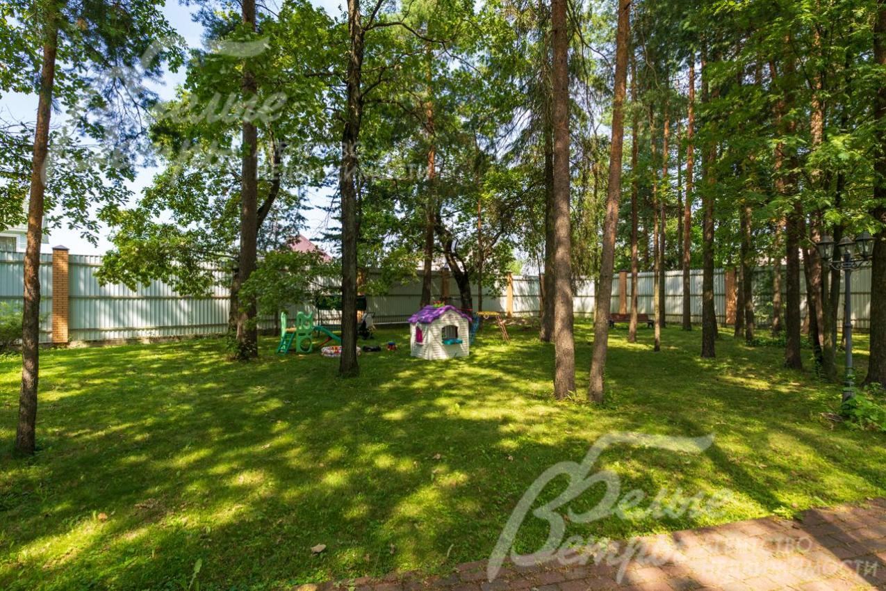 На участке 30 соток взрослые лесные деревья